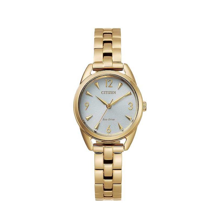 Citizen Ladies' Citizen Eco-Drive® Gold-Tone Watch With Silver-Tone Dial (Model: Em0682-74A) Watches